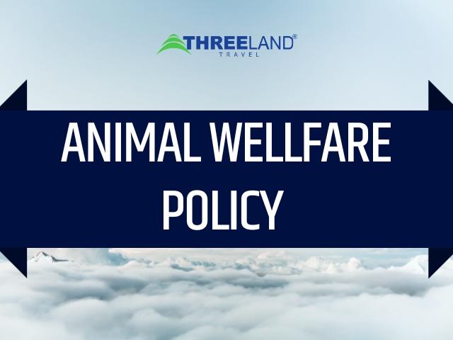 ANIMAL WELLFARE POLICY