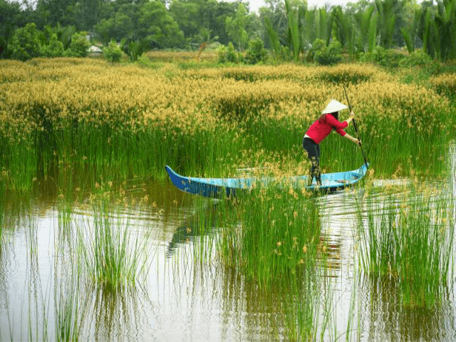 Why A Mekong River Cruise Should Be on Your Bucket List