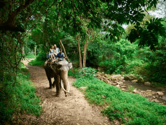 Top 10 Family-Friendly Attractions in Thailand for Kids of All Ages