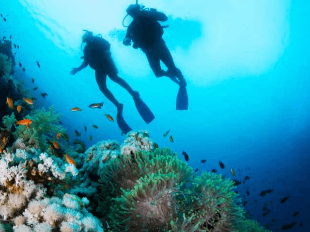 Where to Dive in Vietnam - 5 Amazing Destinations