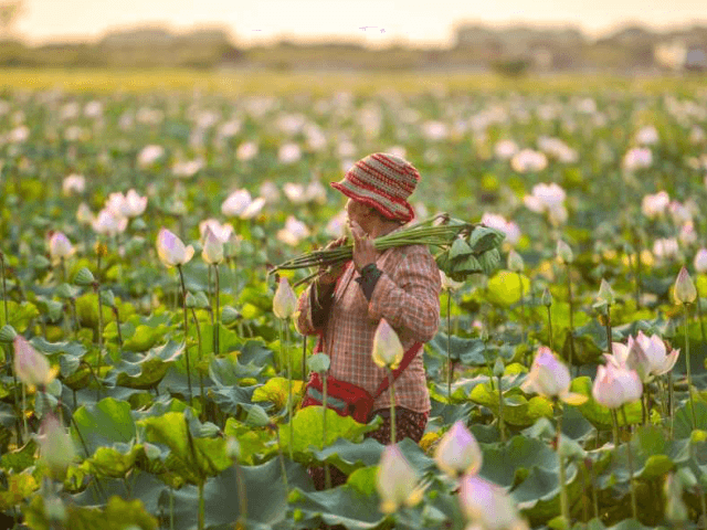 Cambodia in November: The Ultimate Guide for American Travelers