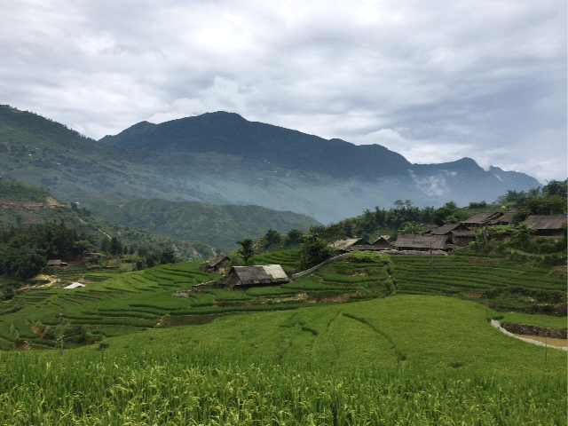 Sapa Essentials Guide: Best Trekking Routes, Local Markets & Hidden Village Experiences in Northern Vietnam