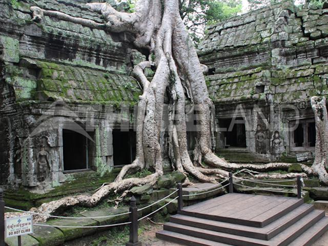 11__Ta-Prohm_s.jpg