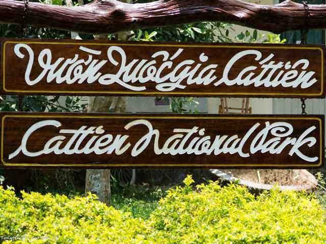 Cat_Tien_national_park.jpg
