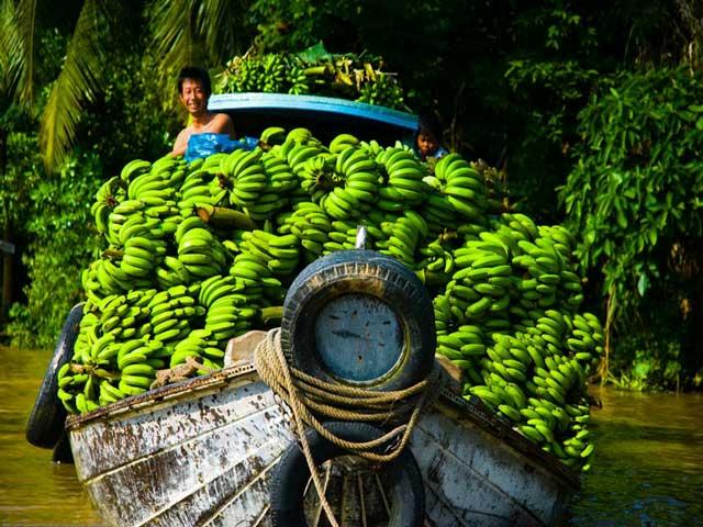 Mekong80.jpg