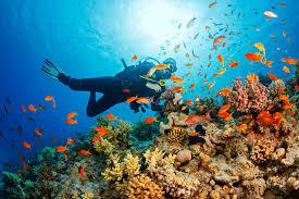 Phu quoc snorkeling.jpg