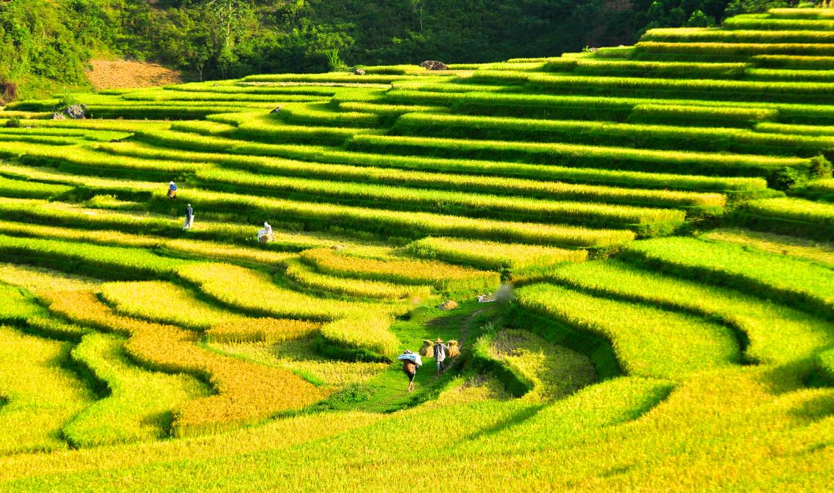 Puluong_retreat_Vietnam_landscape18-1.jpg
