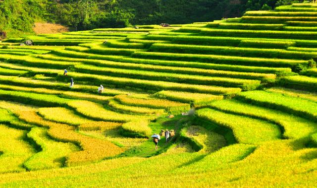 Puluong_retreat_Vietnam_landscape18-1.jpg