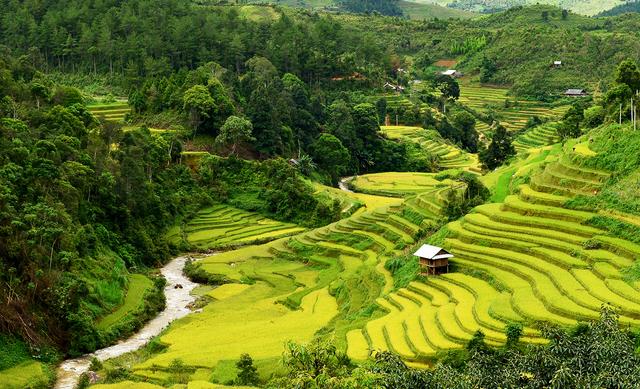 Sapa 2.jpg