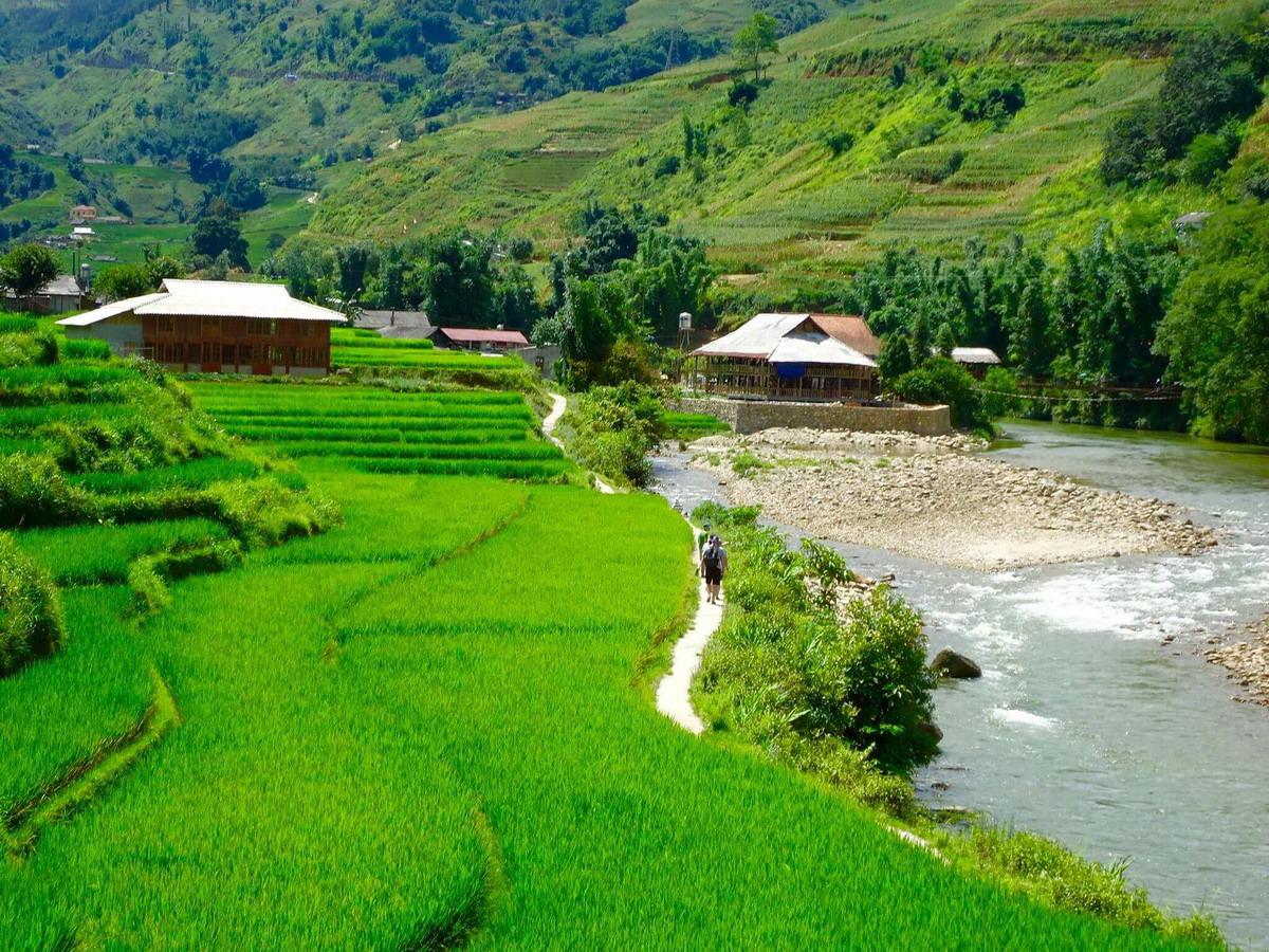 Sapa-Trekking-Homestay-.jpg