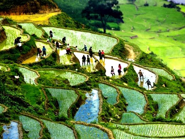 Sapa_rice_terrace_1_640x480-min1.jpg