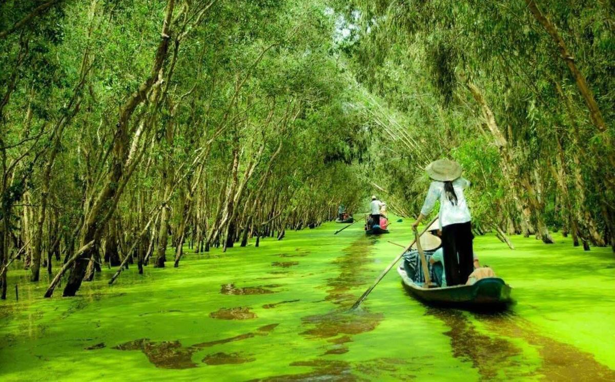 Trà Sư Cajuput Forest.jpg