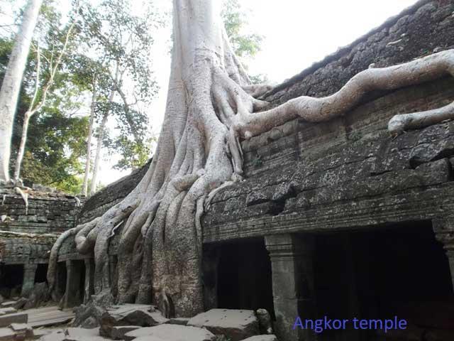 Typisch_Angkor_Wat2.jpg