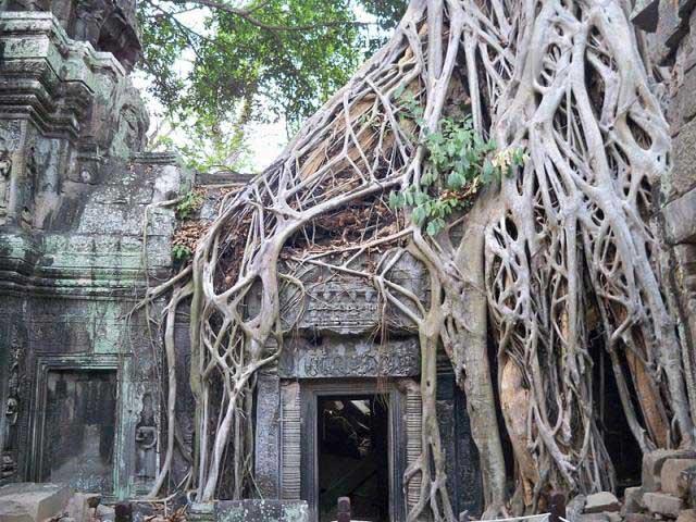 angkor-highlight-tour-3.jpg