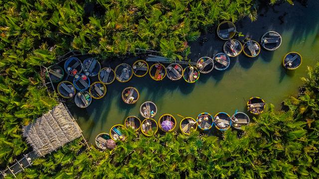 bay mau forest 1.jpg