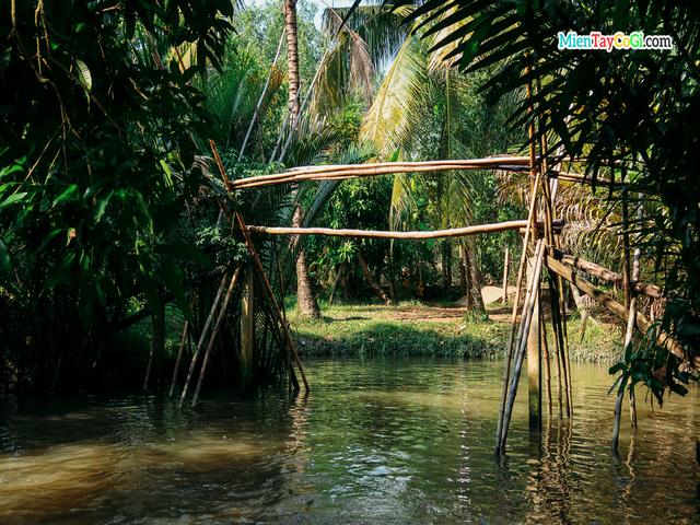 cầu-khỉ-miền-tây-ở-nhà-vườn-ba-cống.jpg