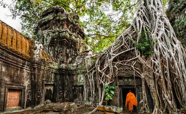 cambodia-ta prohm temple.jpg