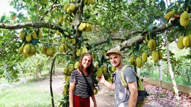 fruit garden visiting-1.jpg