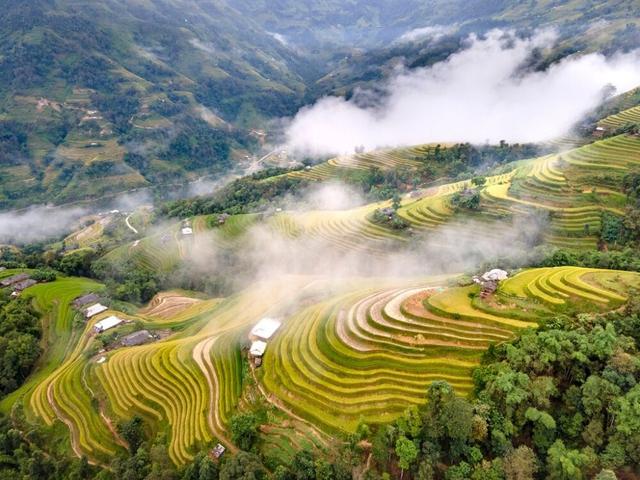 hoang su phi hg.png 1.jpg