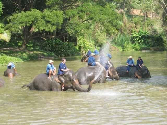 mahout.jpg