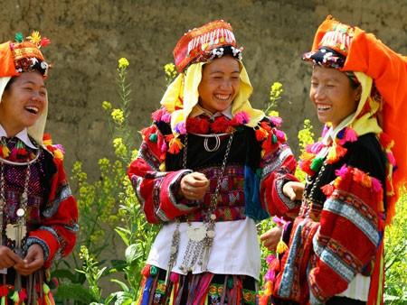 red dao community.jpg