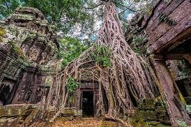 ta prohm-4.jpg