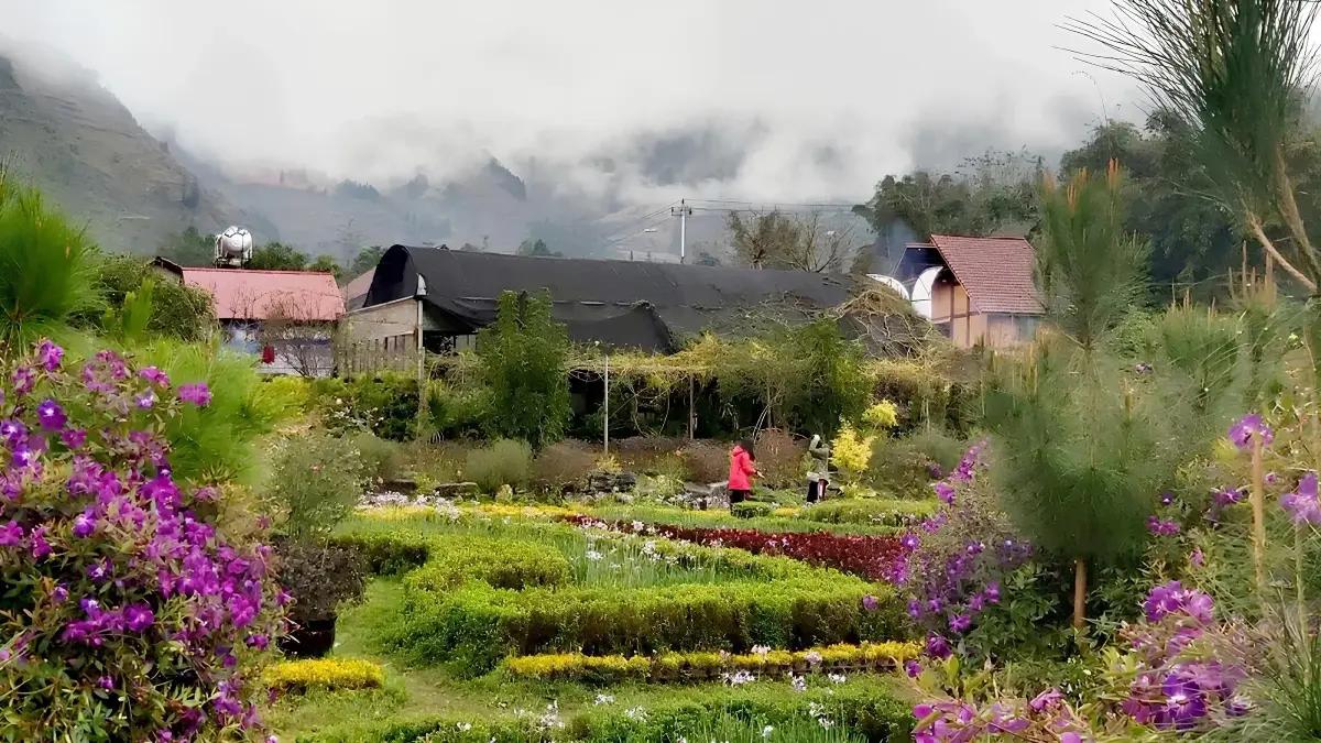 vietgoing_dyk2404151479.webp