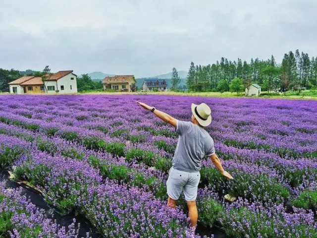 Dalat Countryside Tour