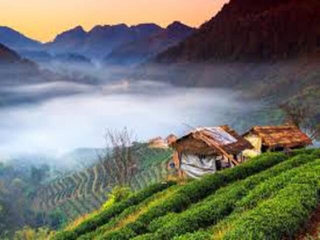recommend-vietnam-1