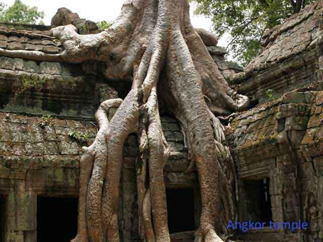 recommend-vietnam-1