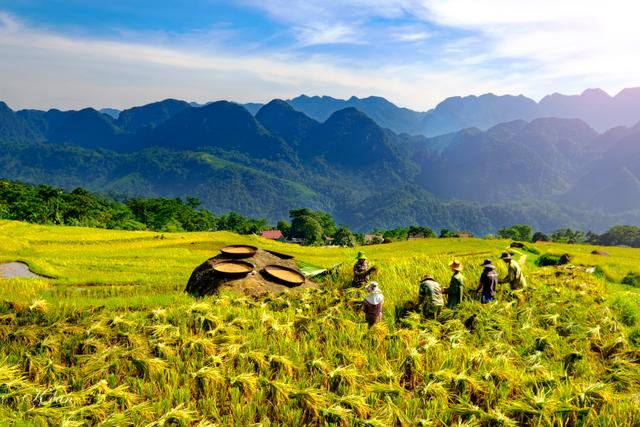 Vietnam Eco-voyage