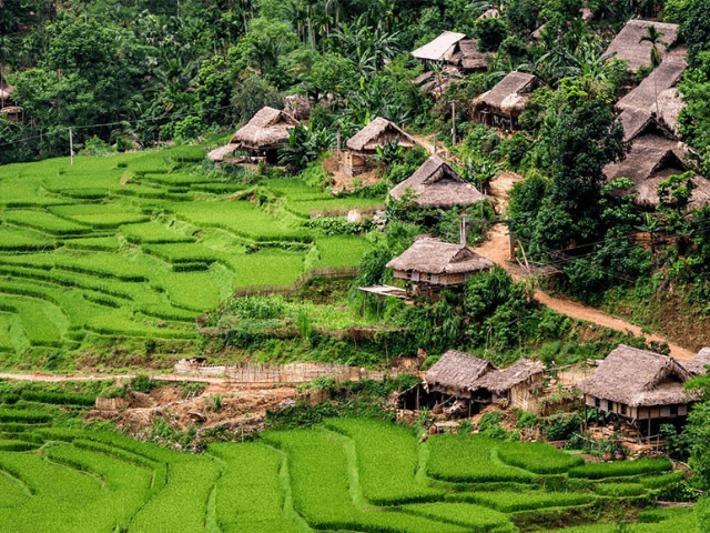 The Hidden Treasure Pu Luong