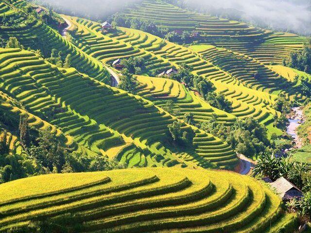 recommend-vietnam-1