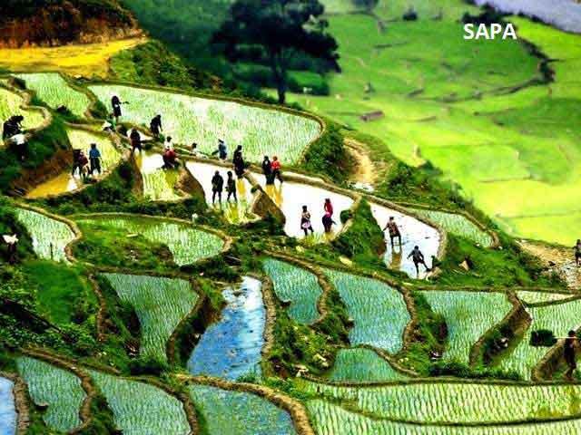 recommend-vietnam-1