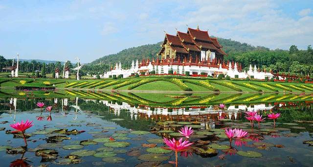 cung-dien-mua-he-chiangmai-vntrip-2.jpg