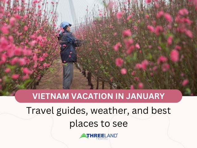 travel to vietnam january