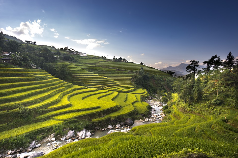 Rice Terraced fields in Ha Giang