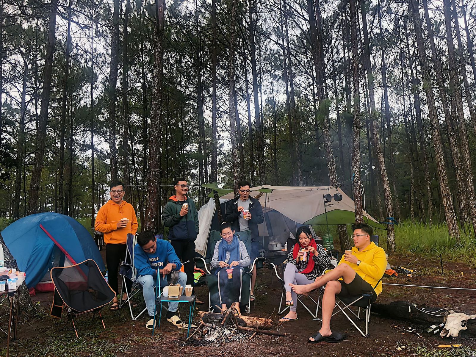 Nhi and her friends camping in the pine forest