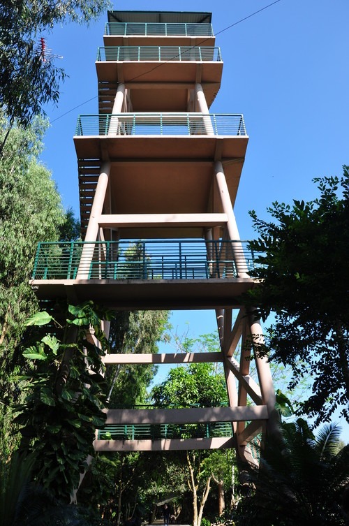 Enjoy the panoramic view from the observation tower