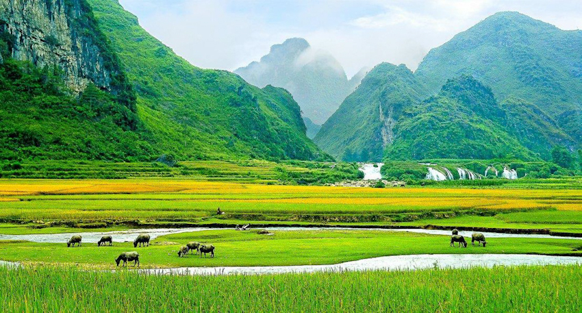 Vietnam Landscapen,