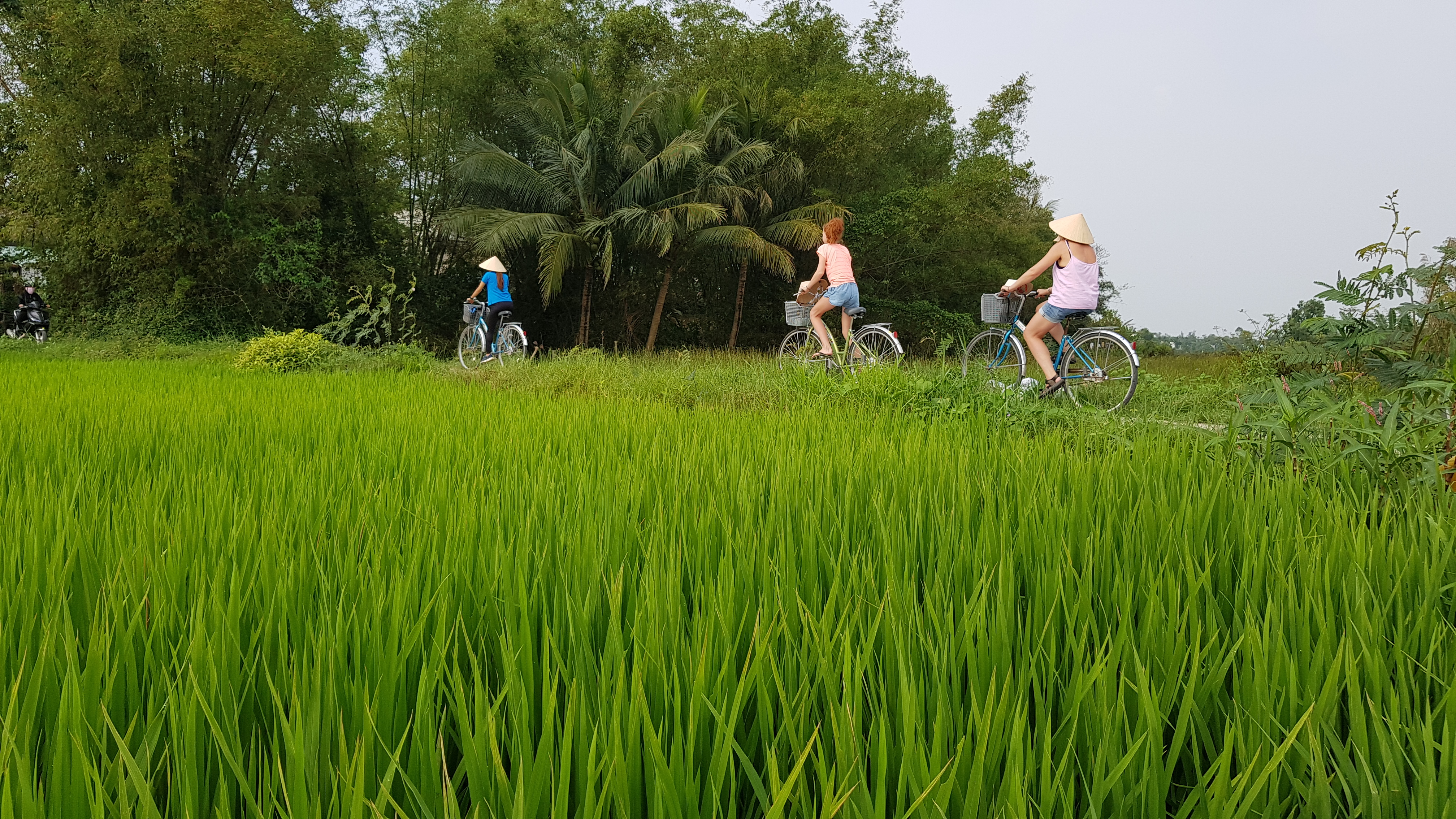 Vietnam Cycling Tours