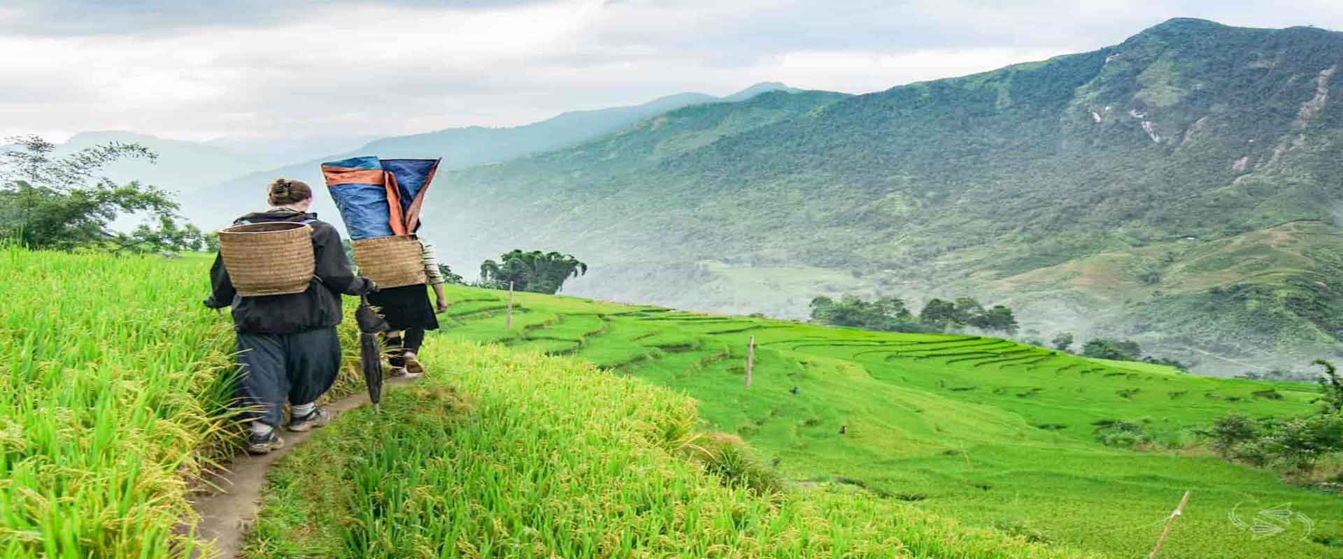 Vietnam Hiking and Trekking Tours: Discover Vietnam’s Hidden Gems