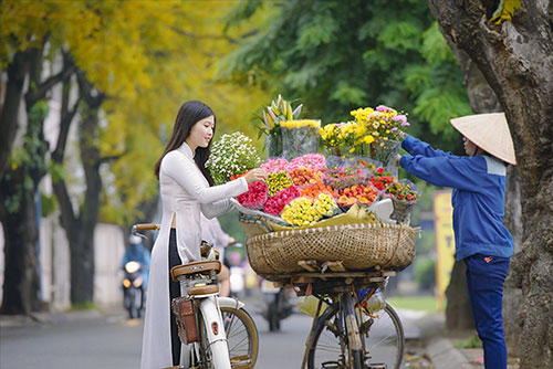 Bikes loaded with flowers beautify the streets of Hanoi