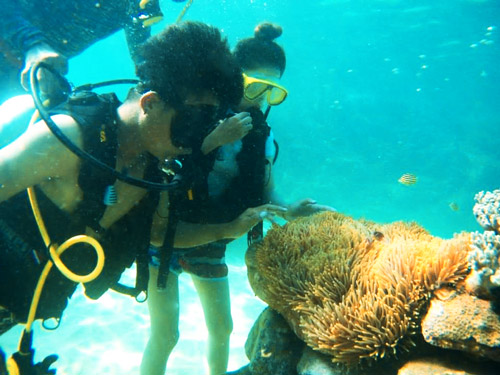 coral-diving-in-Son-Tra-Peninsula