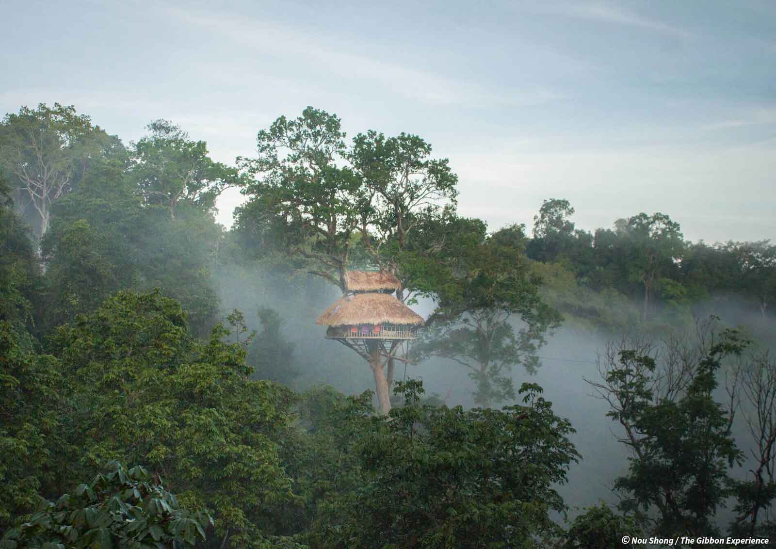 gibbon-experience-laos-tour-jungle-trek