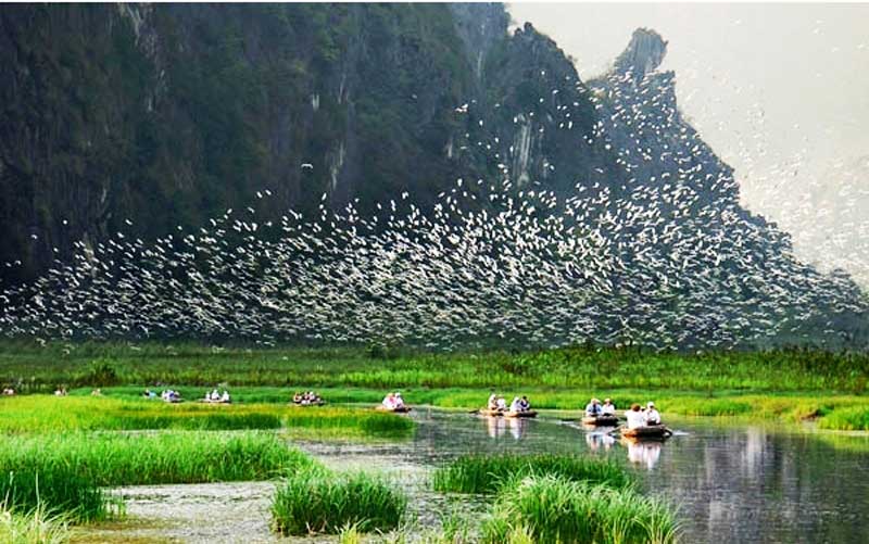 Thung Nham Bird Park - New destination in Ninh Binh