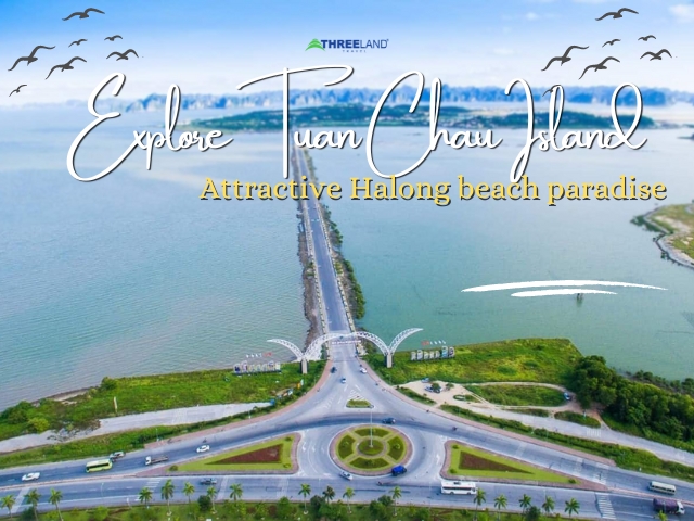 Explore Tuan Chau Island - Attractive Halong beach paradise
