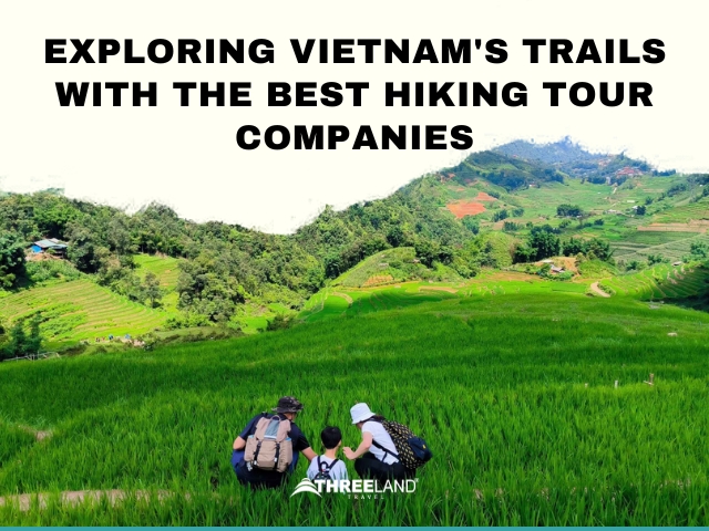 Exploring Vietnam's Trails with the Best Hiking Tour Companies