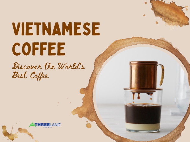 Vietnamese Coffee: Discover the World's Best Coffee