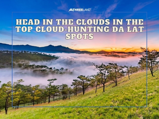 Head in the clouds in the top cloud-hunting Da Lat spots